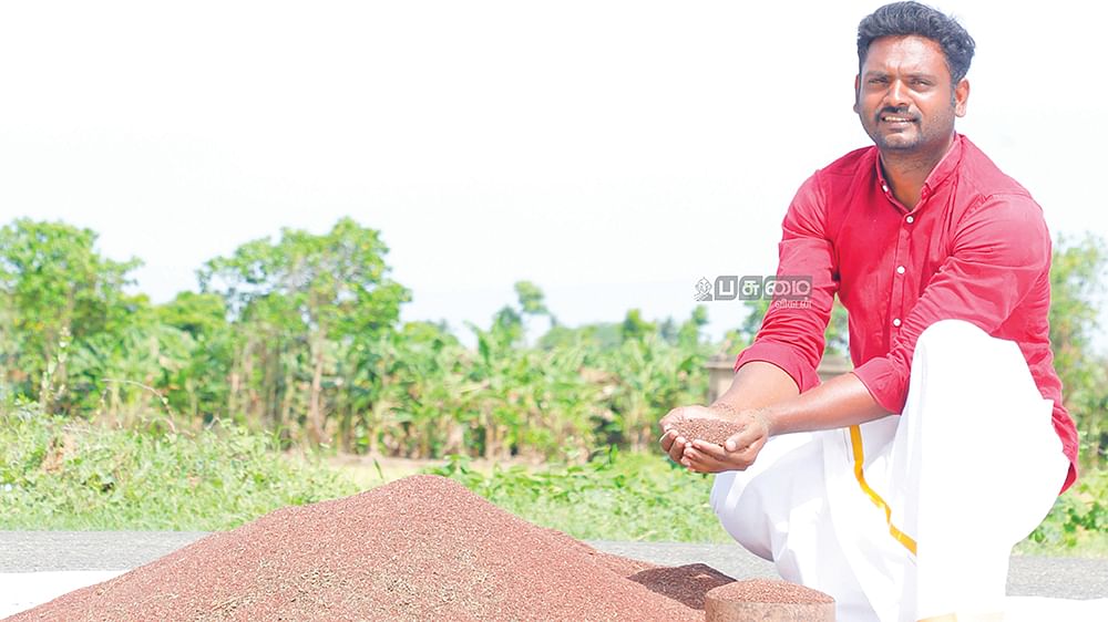 மகசூல்