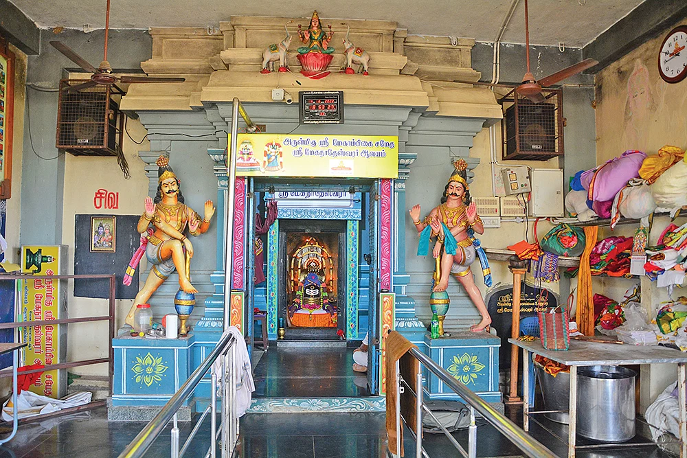 வாசுகி நர்த்தனர்
அபூர்வ சிவ வடிவம்!