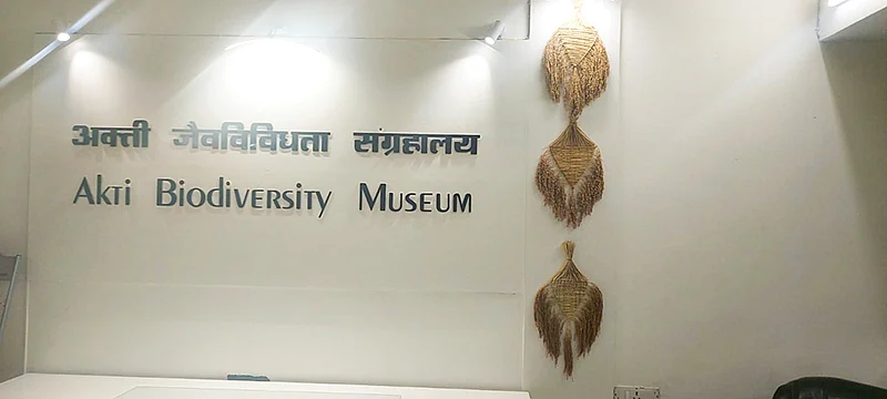 அருங்காட்சியகம்