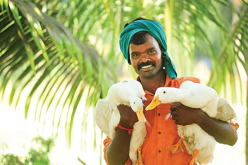 கூஸ் வாத்துகளுடன்