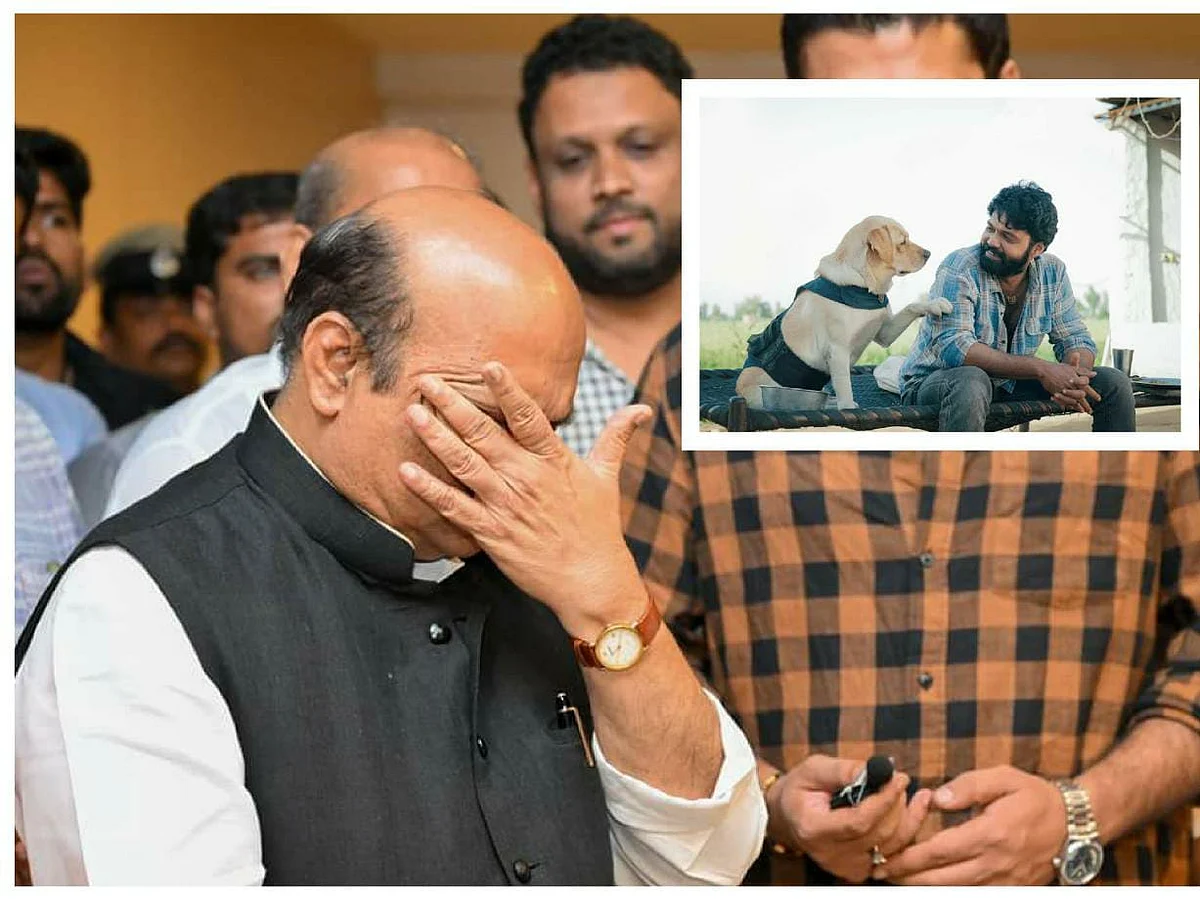 Charlie 777: ``நாய்களின் அன்பு தூய்மையானது..!" - படம் பார்த்துவிட்டுக் கண்கலங்கிய கர்நாடக முதல்வர்