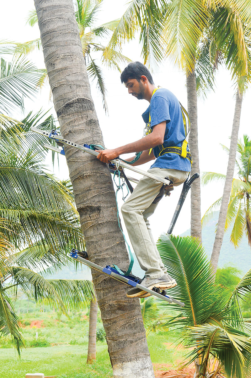 தென்னை மரம் ஏறும் கருவி