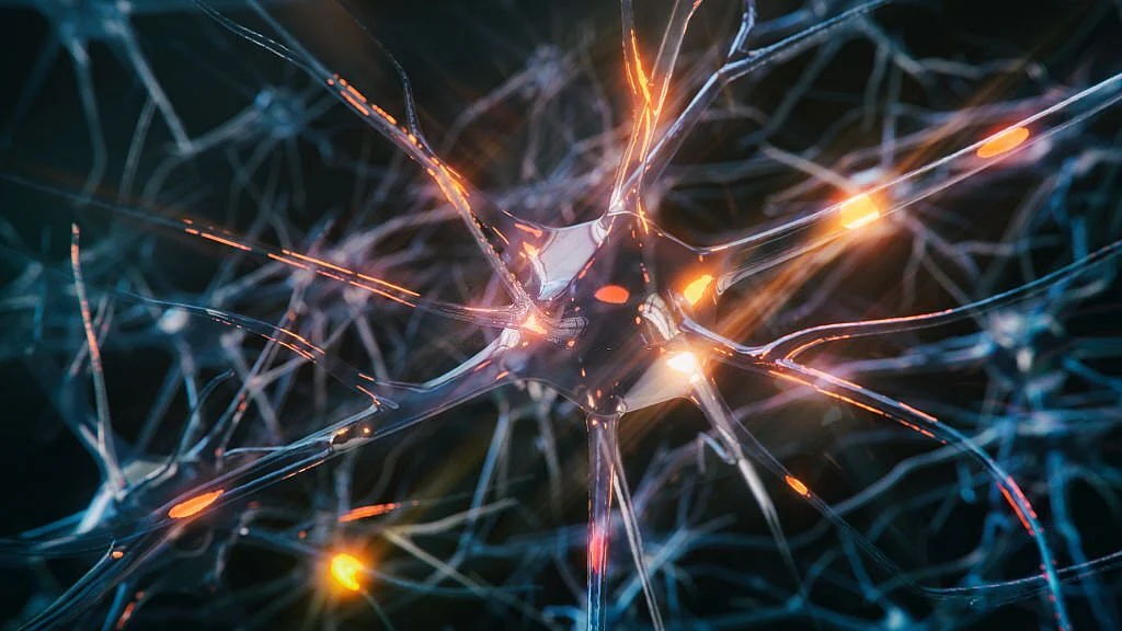 epilepsy