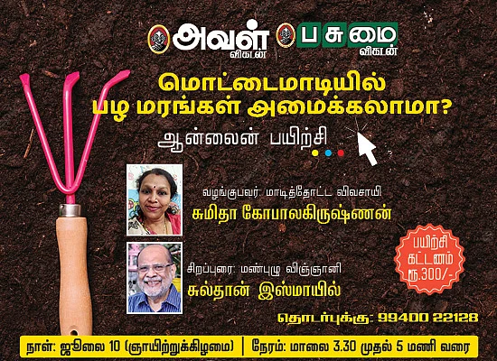 மொட்டை மாடியில் பழ மரங்கள் அமைக்கலாமா?