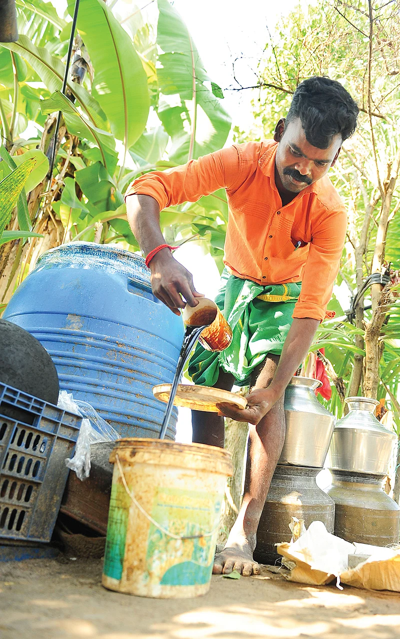 இயற்கை இடுபொருள்