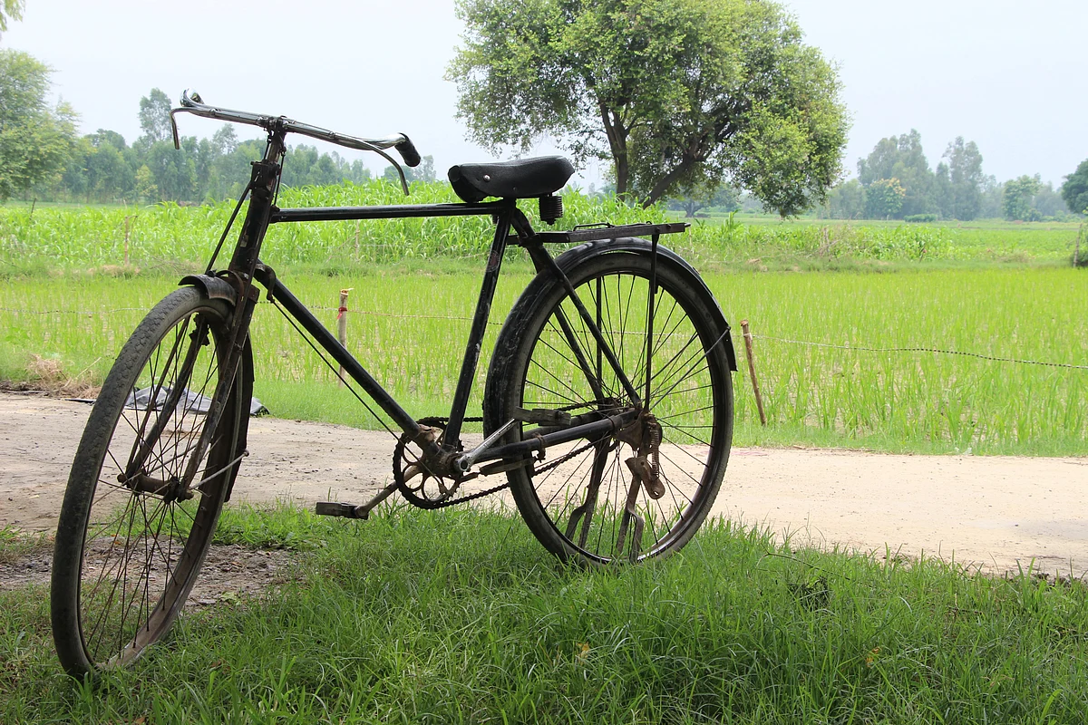 Cycle