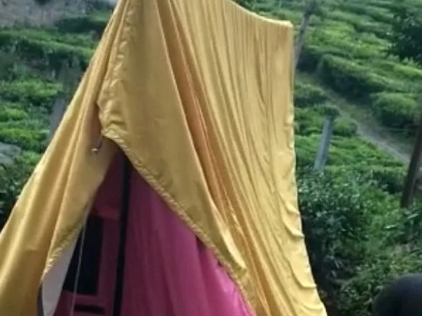 தேயிலைத் தோட்டத்துக்குள் சட்டவிரோத தங்கும் குடில்கள்; தகர்த்தெறிந்த அதிகாரிகள்! - நடந்தது என்ன?