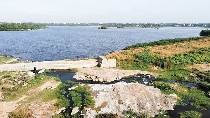 குளத்தில் கலக்கும் கழிவுநீர்