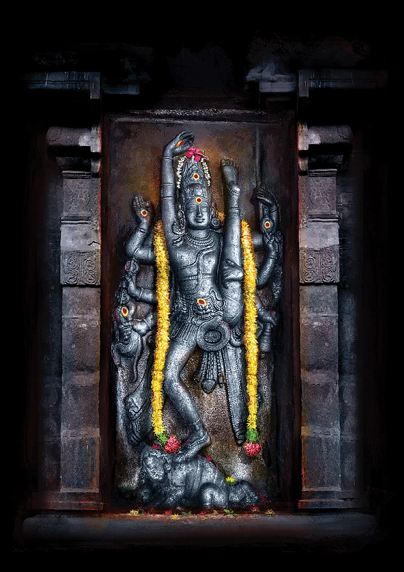 ஆடல் தரிசனம்