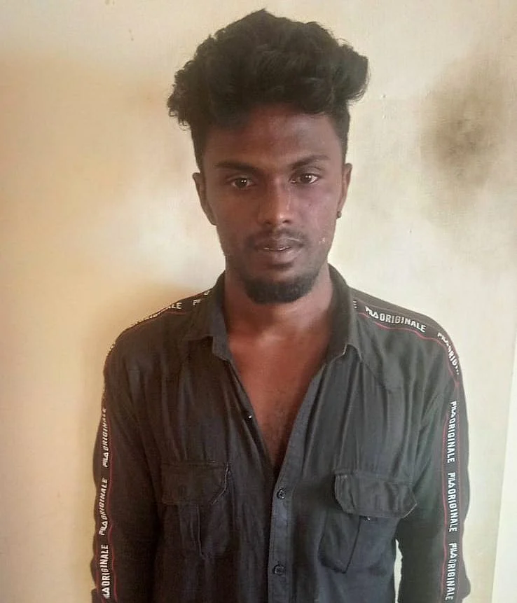 கார்த்திக் ராஜா