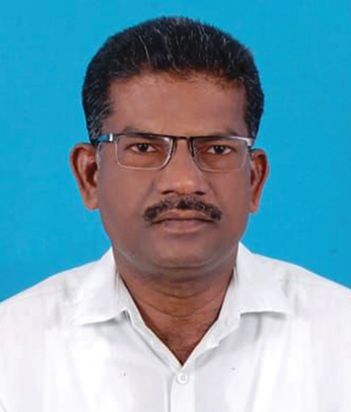 மயில்