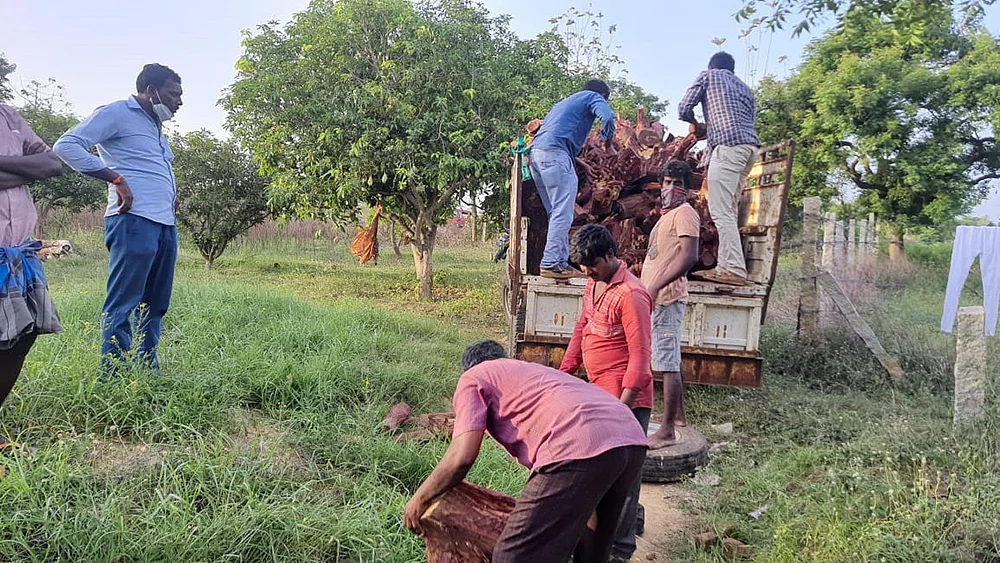 செம்மரக் கடத்தலில் இரு மாநில அரசியல்... கோடிகளில் புரளும் தமிழக ‘டான்’கள்!