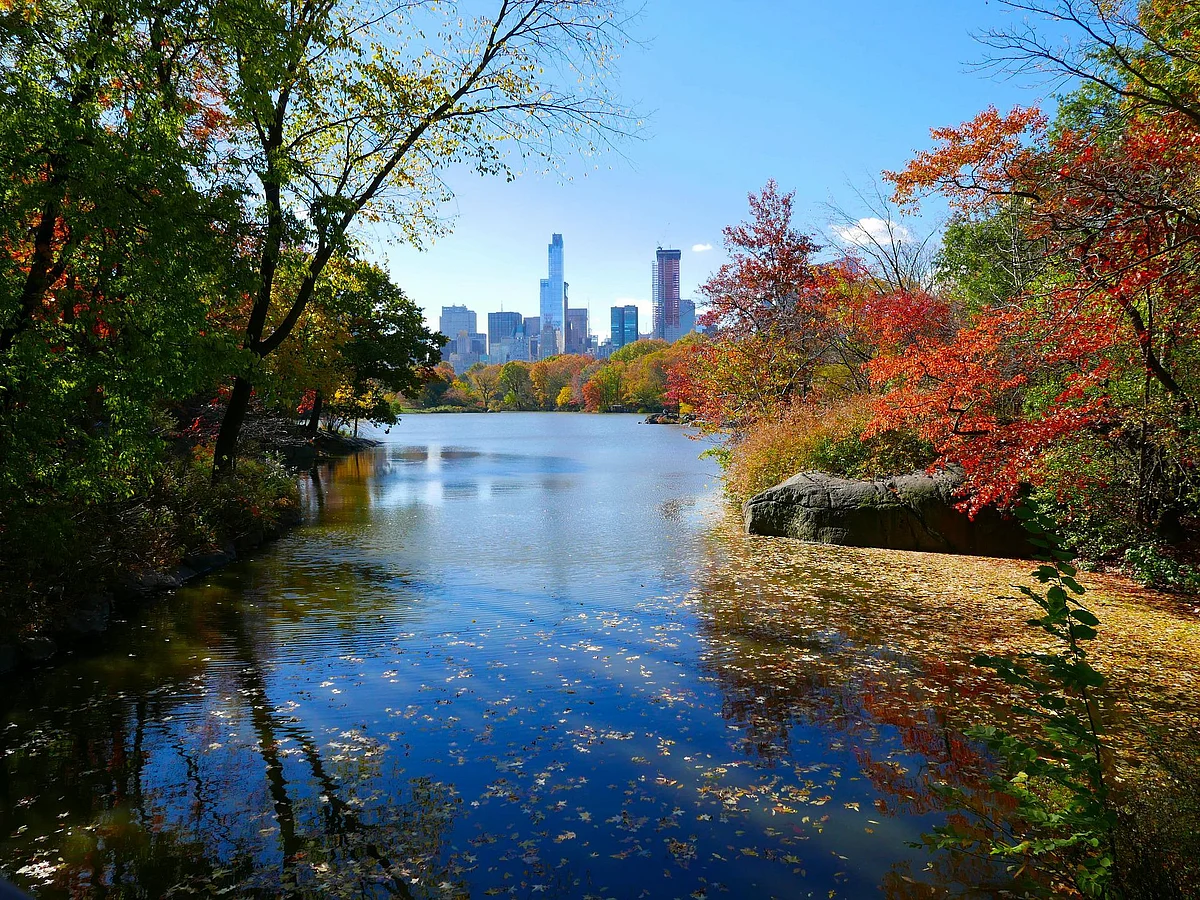 Newyork
