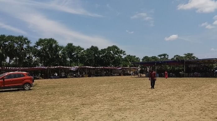 பூரிகுடிசை - பனை மரங்கள்