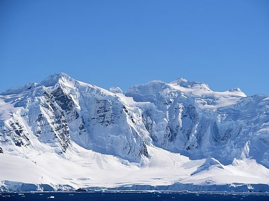 Antarctica: உறைபனிக்குக் கீழே ஒரு உலகம்; விஞ்ஞானிகளின் அரிய கண்டுபிடிப்பு! 