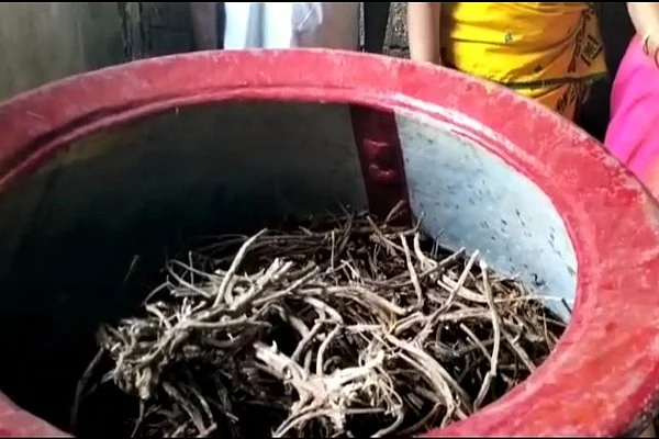 மூலிகைகள் மூலம் தைலம் தயாரிப்பு