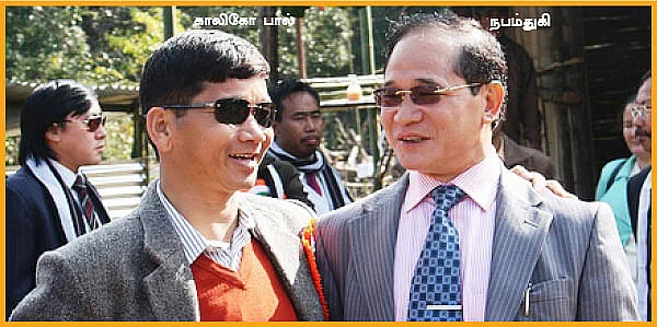 கலிகோ புல், நபம் துகி,