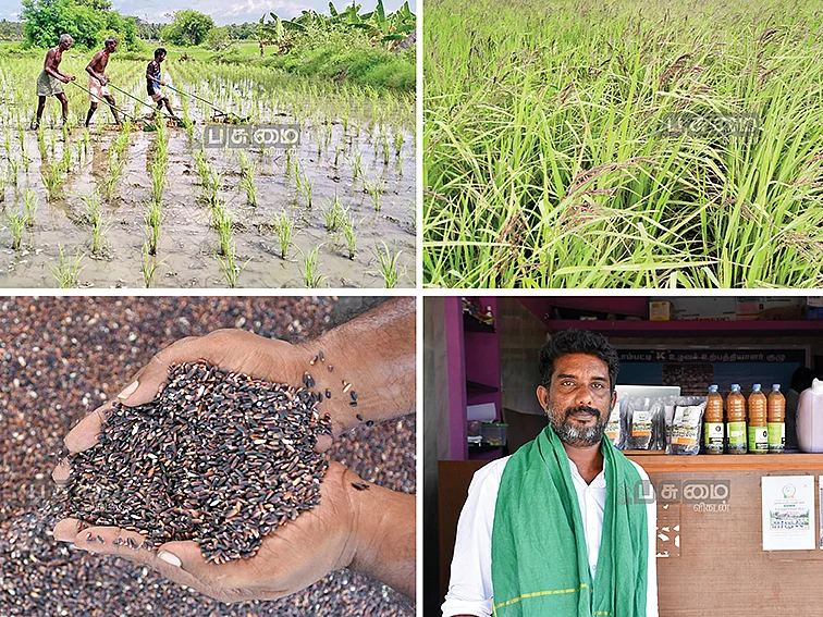 உழவர் உற்பத்தியாளர் நிறுவனம்