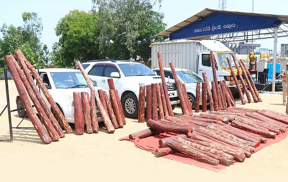 செம்மரக் கடத்தலில் இரு மாநில அரசியல்... கோடிகளில் புரளும் தமிழக ‘டான்’கள்!