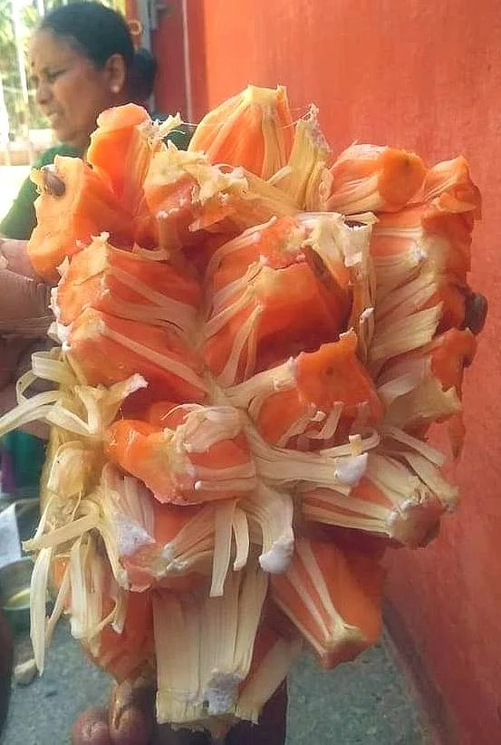 சிவப்பு நிறப் பலாச்சுளைகள்
