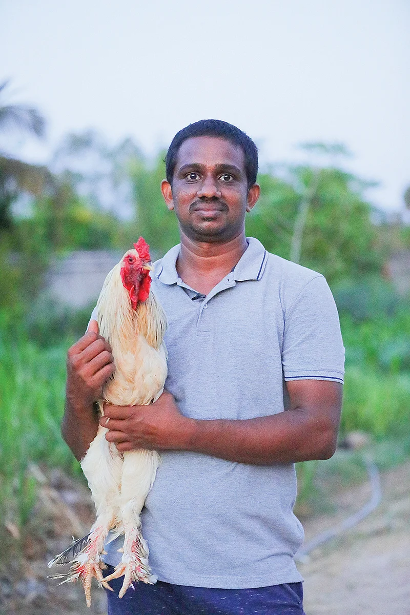 கோழியுடன்