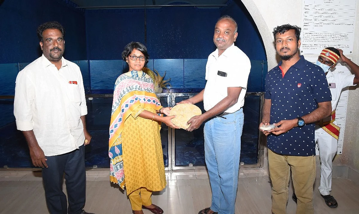 பெரம்பலூர் ஆட்சியர் வெங்கடப்பிரியாவிடம் தொல்லுயிர் படிமம் ஒன்றை கொடுத்த போது.