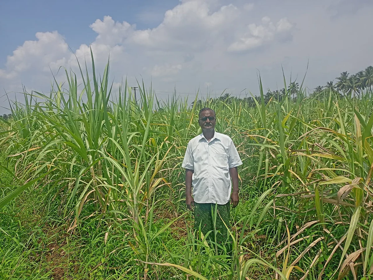 விவசாயி நாச்சியப்பன்