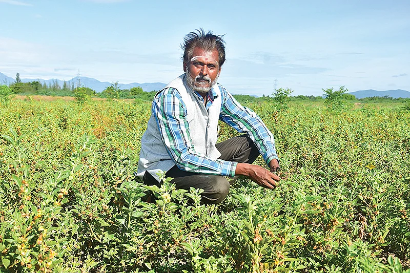 முனைவர் மணிவேல்