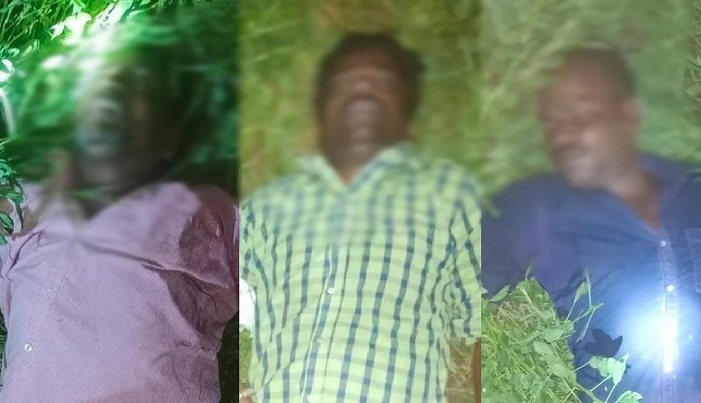 மின்சாரம் தாக்கி உயிரிழந்த மூவர்