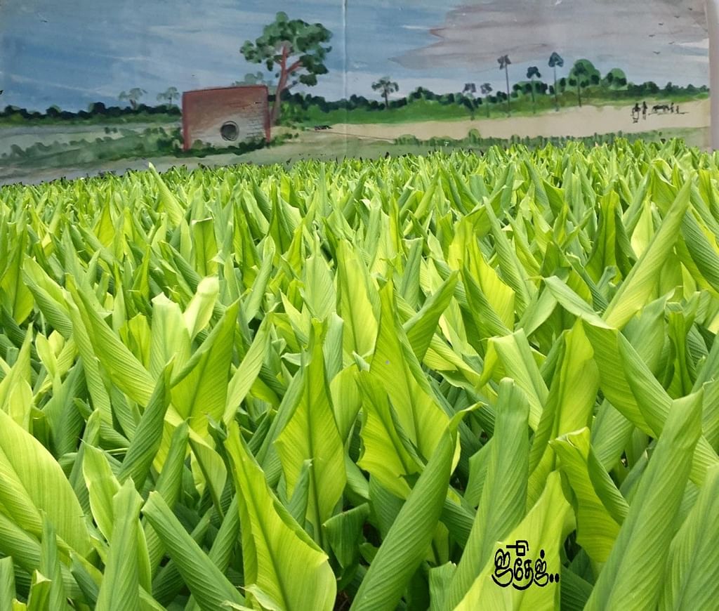 Representational Image