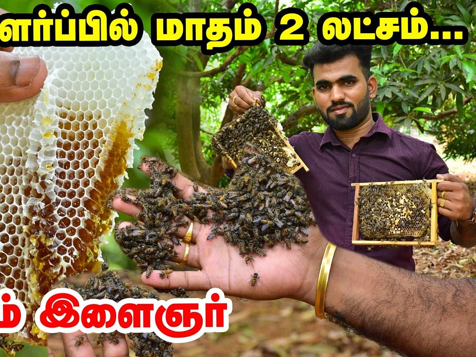 தேனீ வளர்ப்பில் மாதம் 2 லட்சம்; Beekeeping-ல் beginners கவனிக்க வேண்டிய விஷயங்கள்!