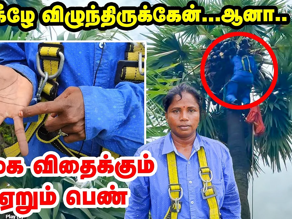 3 முறை கீழே விழுந்திருக்கேன்... ஆனா? நம்பிக்கை விதைக்கும் மரம் ஏறும் பெண்!