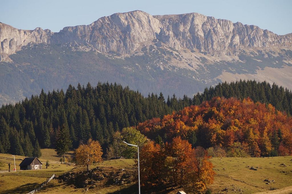 ருமேனியா (Romania)
