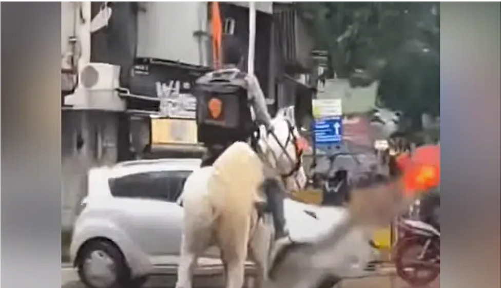 குதிரையில் உணவு டெலிவரி