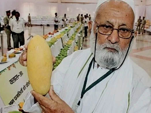 ஒரே மரத்தில் 300 வகை மாம்பழம்!
இந்தியாவின் மாம்பழத் தந்தையின் கண்டுபிடிப்பு!