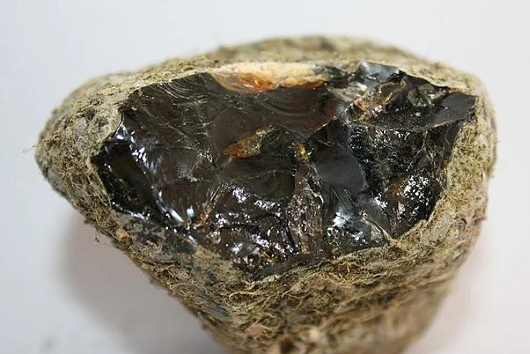 அம்பர்கிரிஸ்
