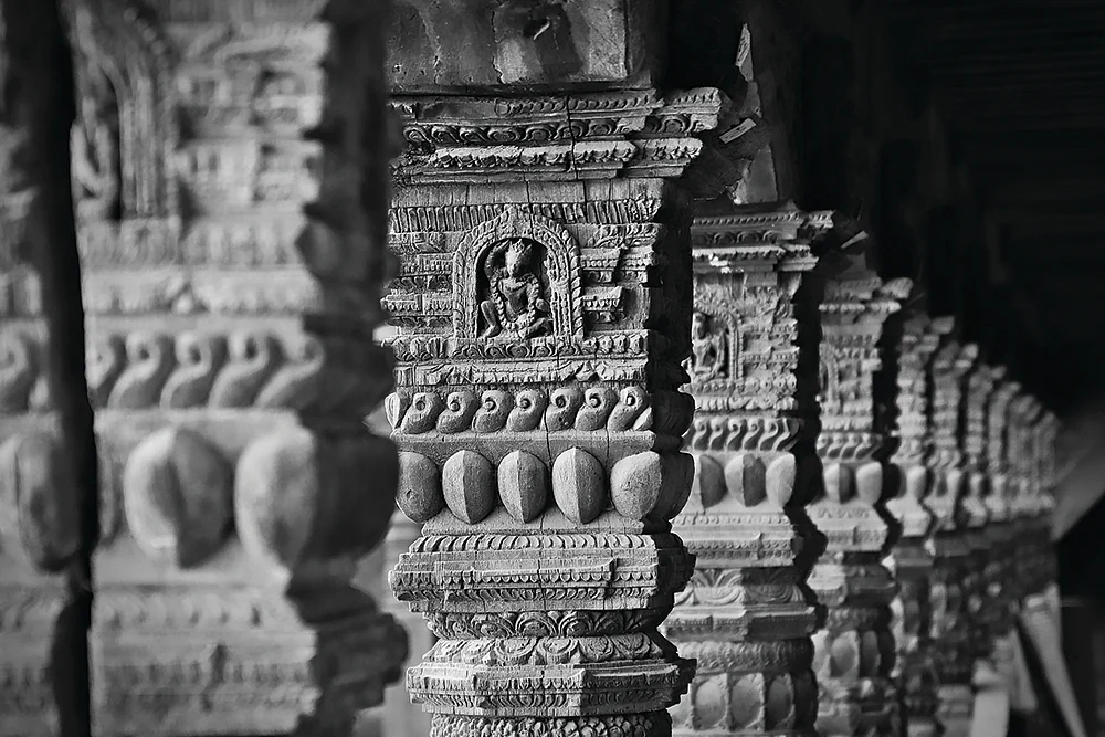 நாளை என்ன வேலை? - வாழ்க்கை வழிகாட்டல் - 14 - கலைகள் கற்போம்!