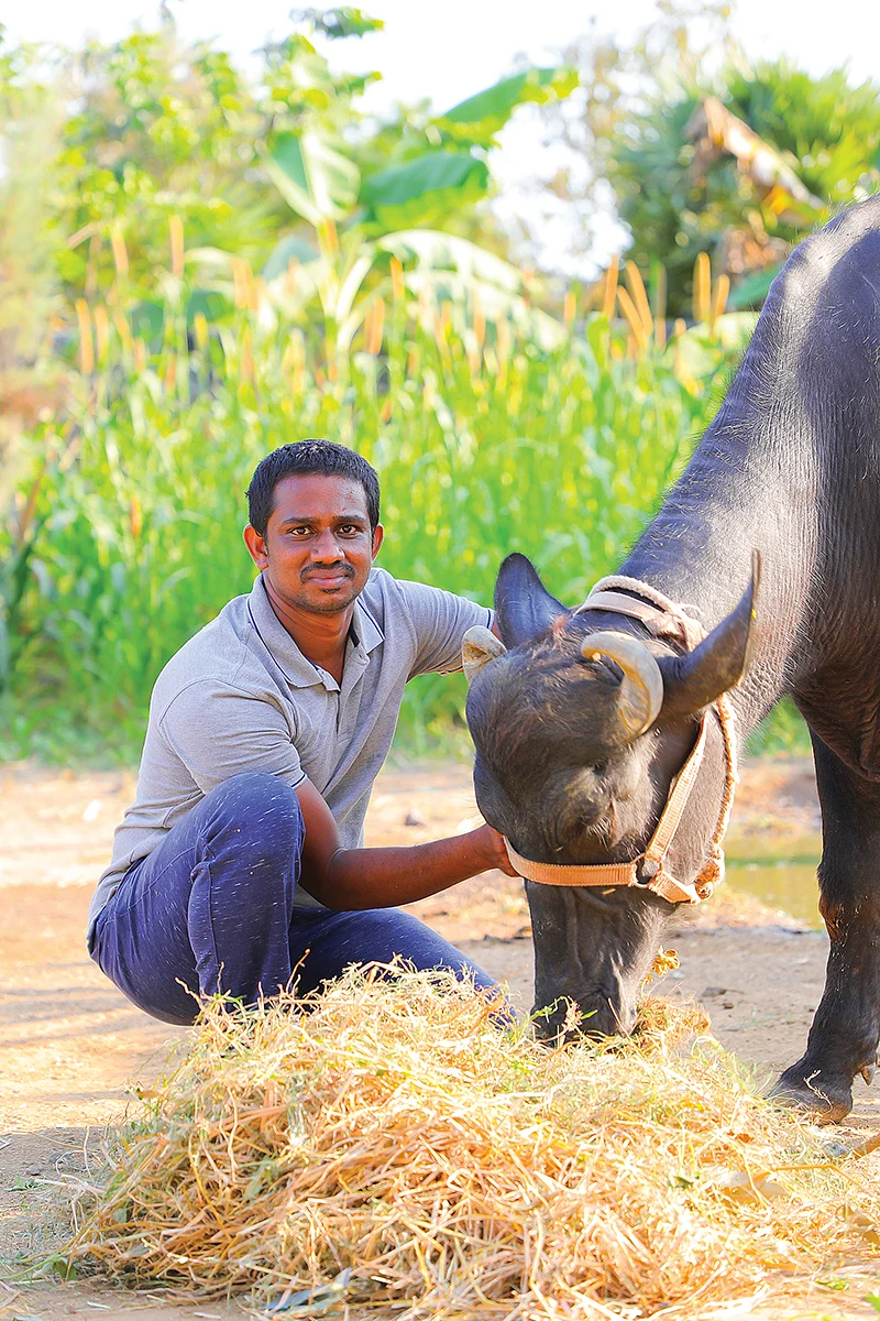 எருமையுடன்