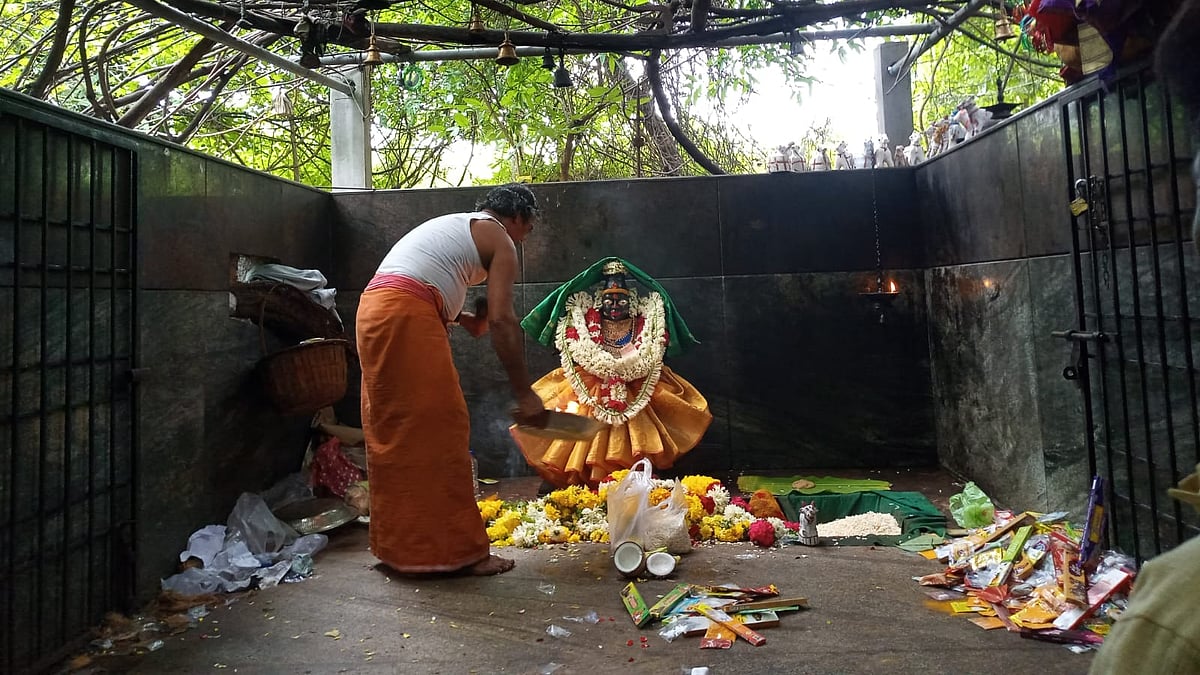 பாப்பாத்தி அம்மன்