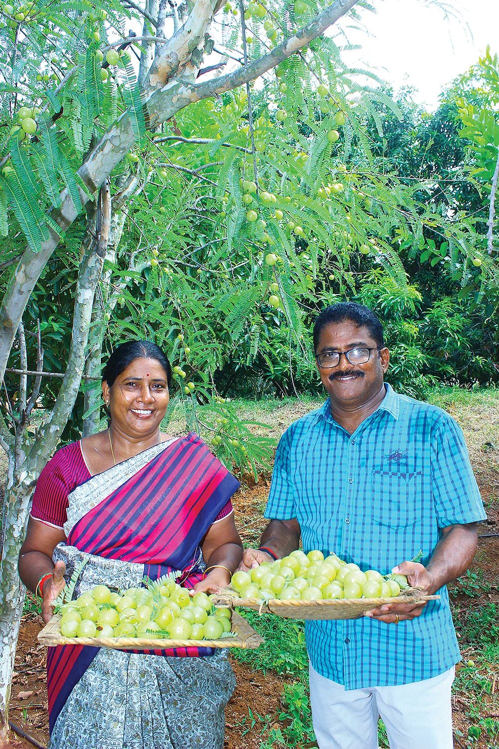 அறுவடையான நெல்லிக்காய்களுடன்