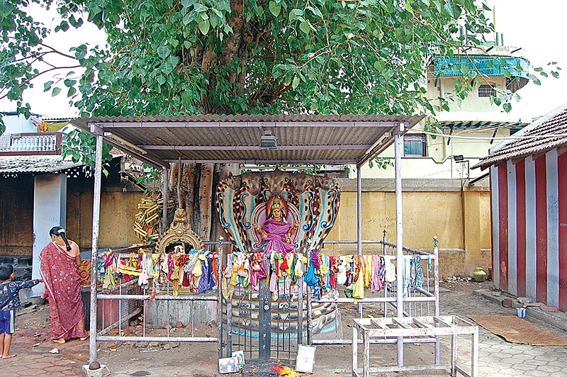 அருள்மாரி பொழிவாள் கருமாரி!