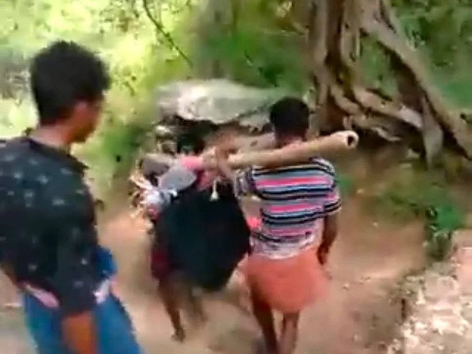 தொட்டில் கட்டி தூக்கிச் செல்லப்பட்ட கர்ப்பிணி; ஆனைமலை புலிகள் காப்பக கிராமங்களில் தொடரும் சோகம்!