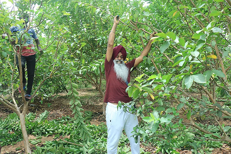 கவாத்து பணியில்