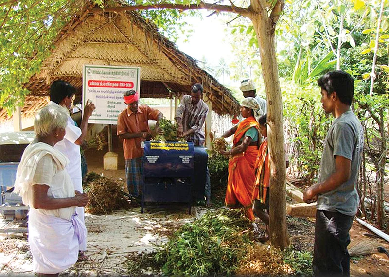 நிலக்கடலையைப் பிரித்தெடுக்கும் கருவி