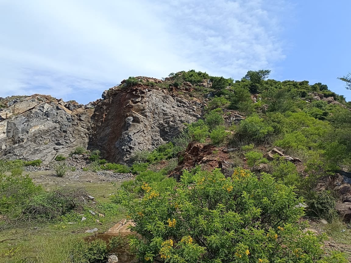 ``செத்து மடிந்தால் உங்களுக்கு சந்தோஷமா?