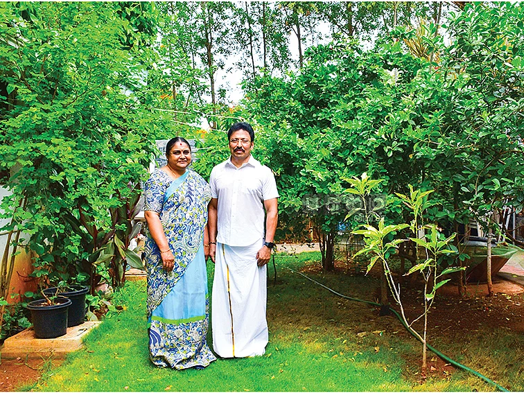 செர்ரி முதல் செண்பகம் வரை..
பசுமை சூழ்ந்த வீடு...
முன்னாள் ஐ.பி.எஸ் அதிகாரி ரவியின் இயற்கை நேசம்!