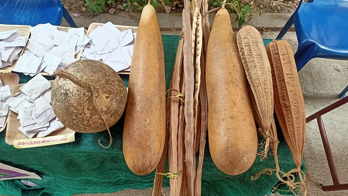 விதைகள்