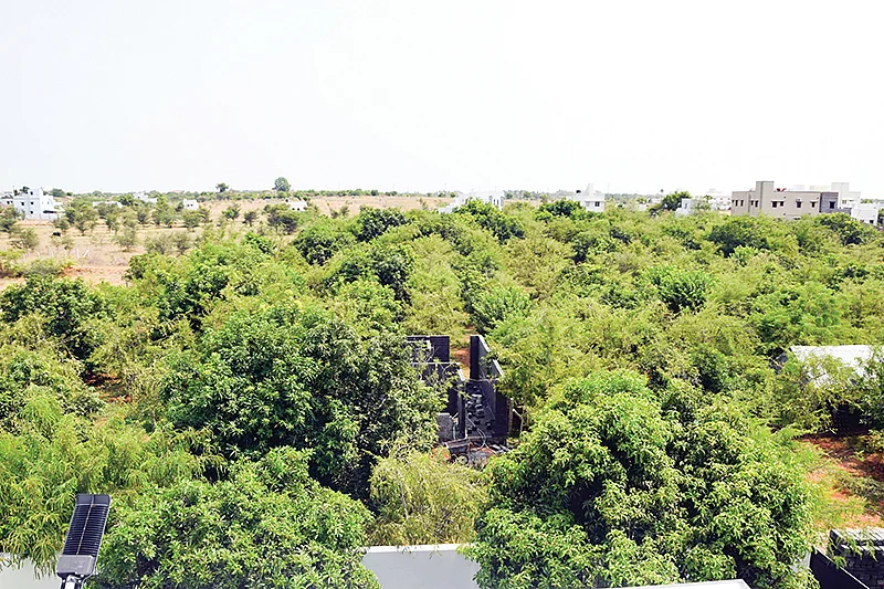 கட்டடங்களுக்கிடையே பசுமைப் பண்ணை