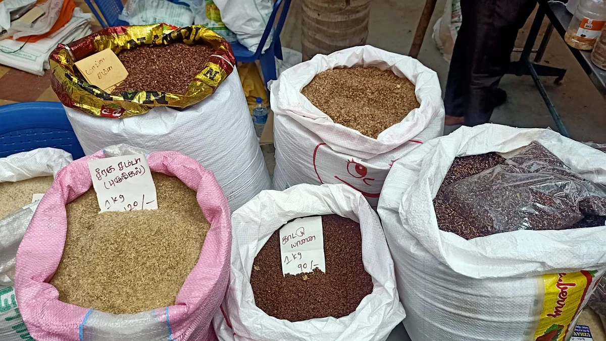 பாரம்பர்ய நெல் விதைகள்