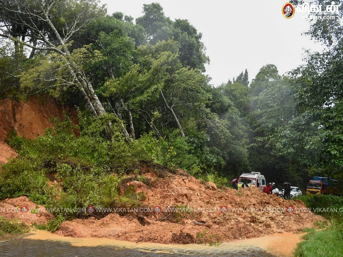 கரை புரளும் வெள்ளம்; பெயர்ந்து விழும் மரங்கள்... முகாம்களில் மக்கள்! - என்ன நடக்கிறது நீலகிரியில்?